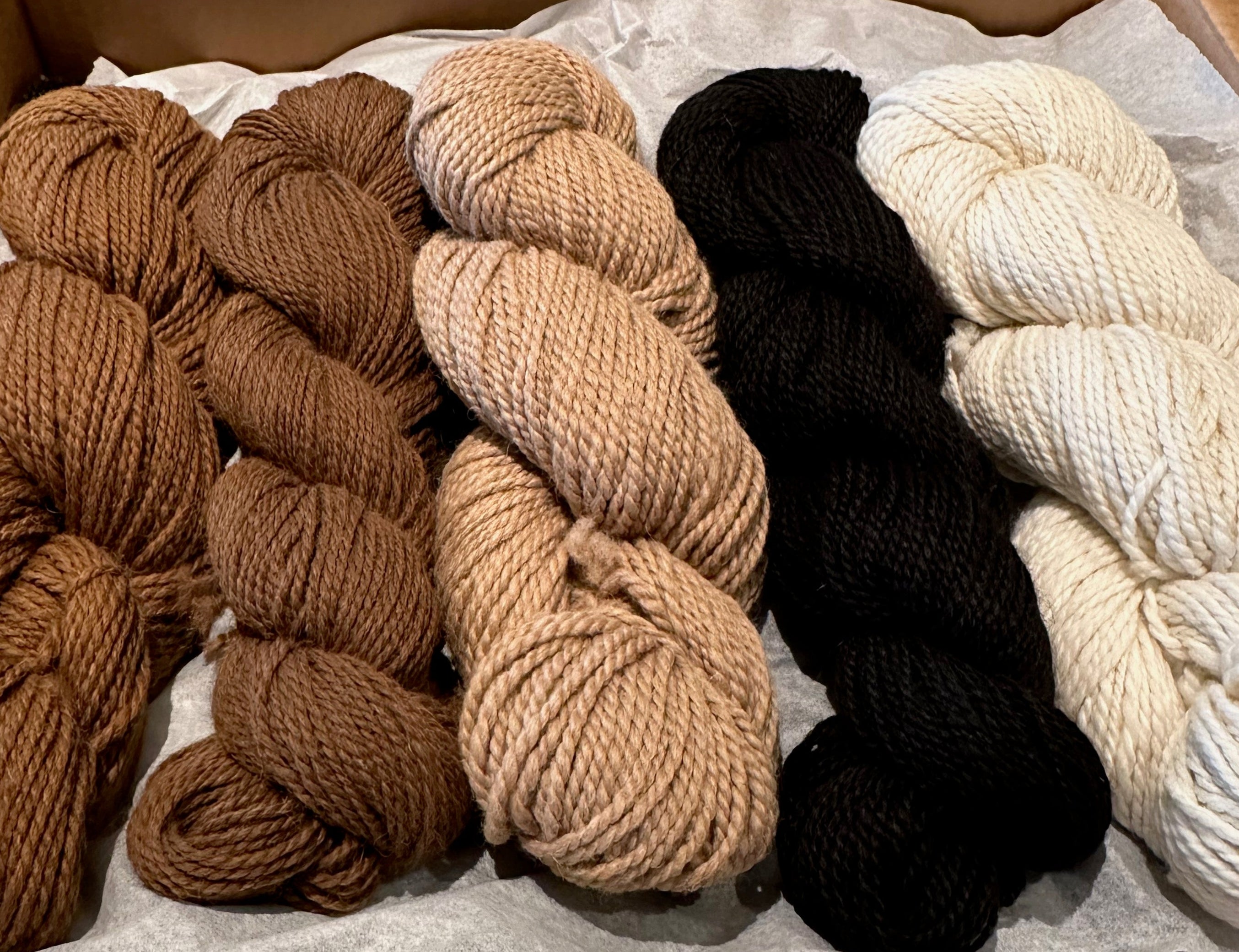 Alpaca Goods – Exbury Farm